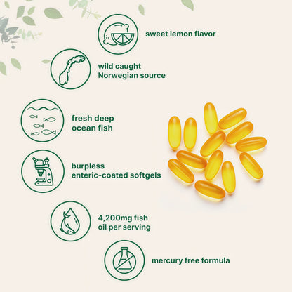 Micro Ingredients Triple Strength Omega 3 Fish Oil Supplements 4200mg Per Serving, 240 Softgels – Lemon Flavored – Burpless | EPA 1200mg + DHA 900mg | Deep Sea Fishngth Omega 3 Fish Oil Supplements 4200mg Per Serving